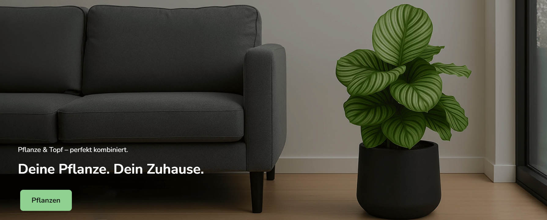 Pflanzen Blumentopf Geschäft -Pflanzen Blumentopf Geschäft ftyutu