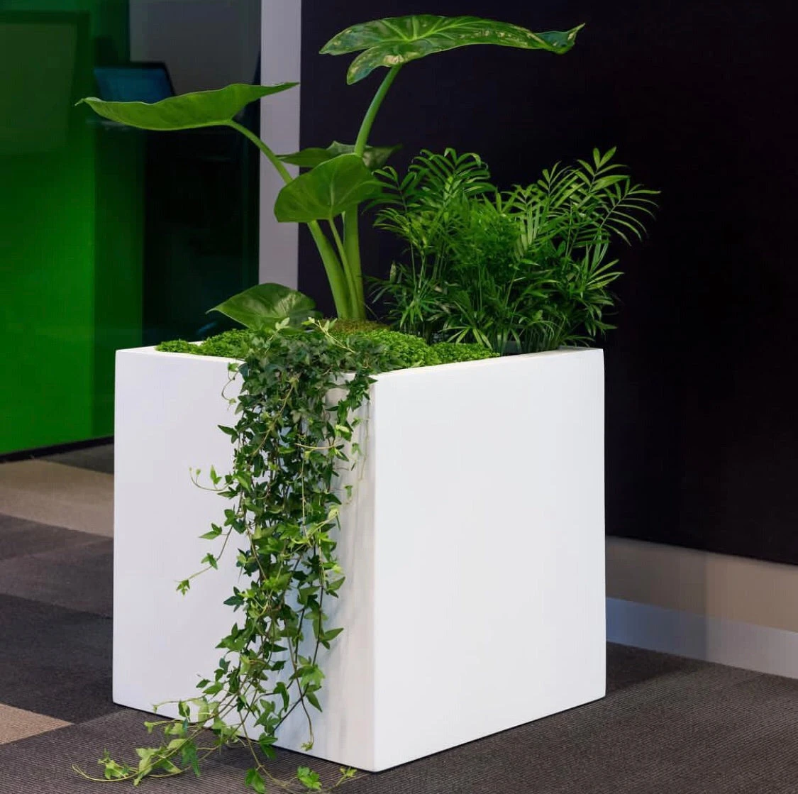 Block Matt Weiß 4 Block Matt Weiß – Bild 2