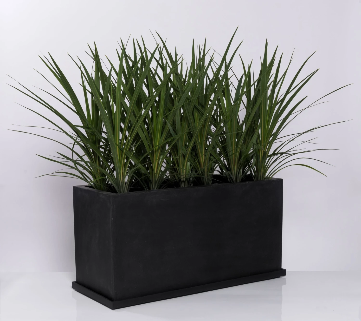 Untersetzer Tub Schwarz 5 Untersetzer Tub Schwarz – Bild 3