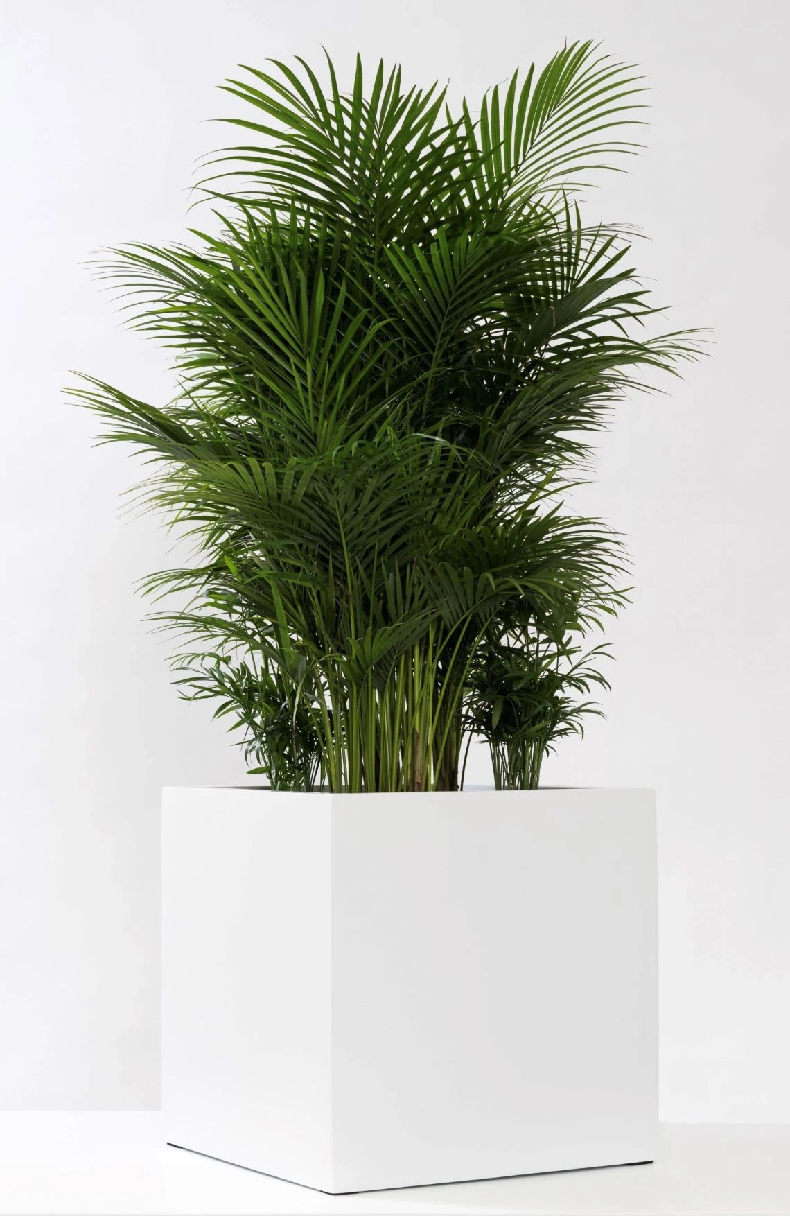 Block Matt Weiß 3 Block Matt Weiß