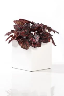 Mini Block Matt Weiß