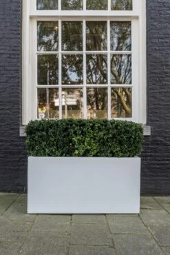 Jort Fiberstone Matt Weiß