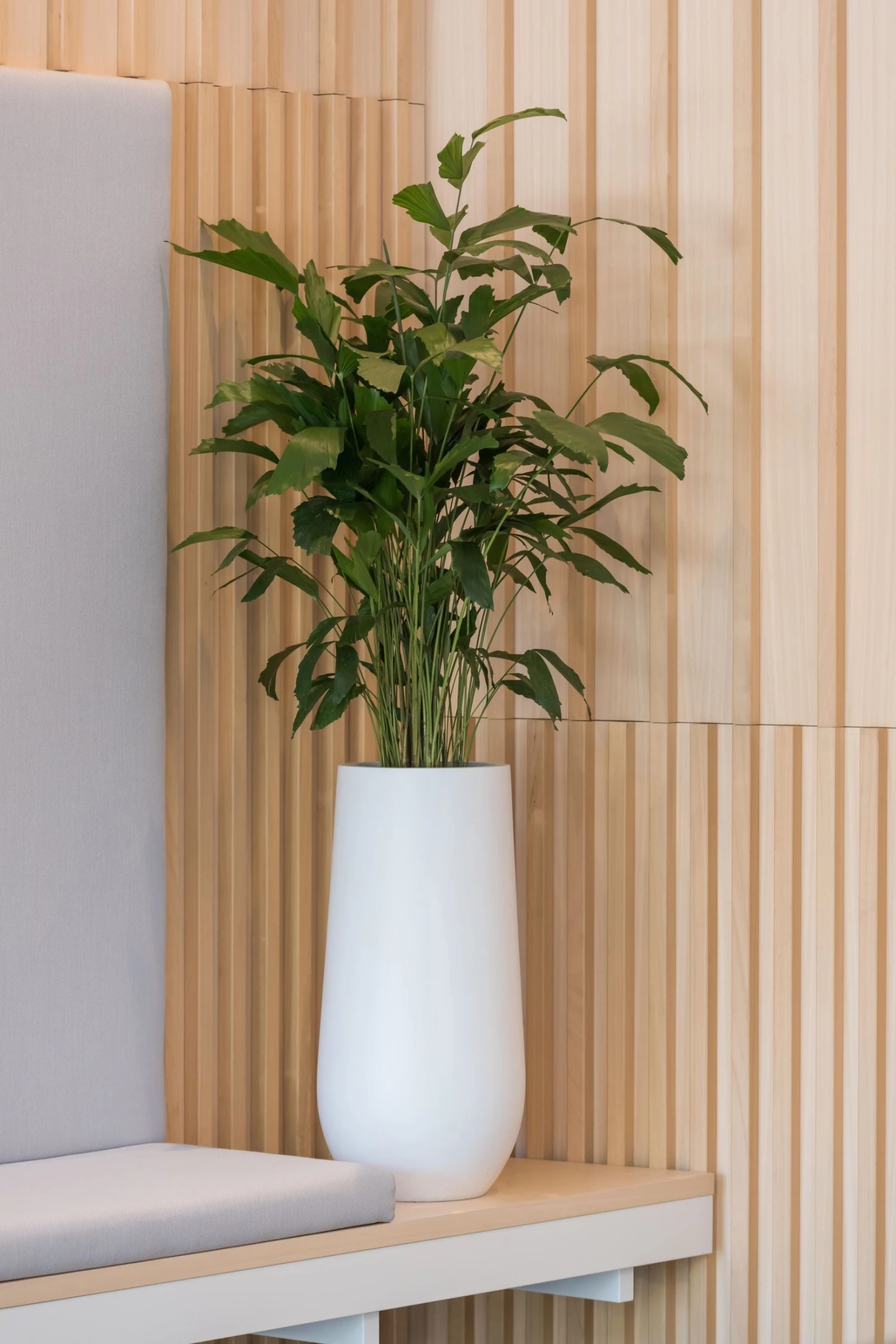 Nax Matt Weiß 3 Nax Matt Weiß