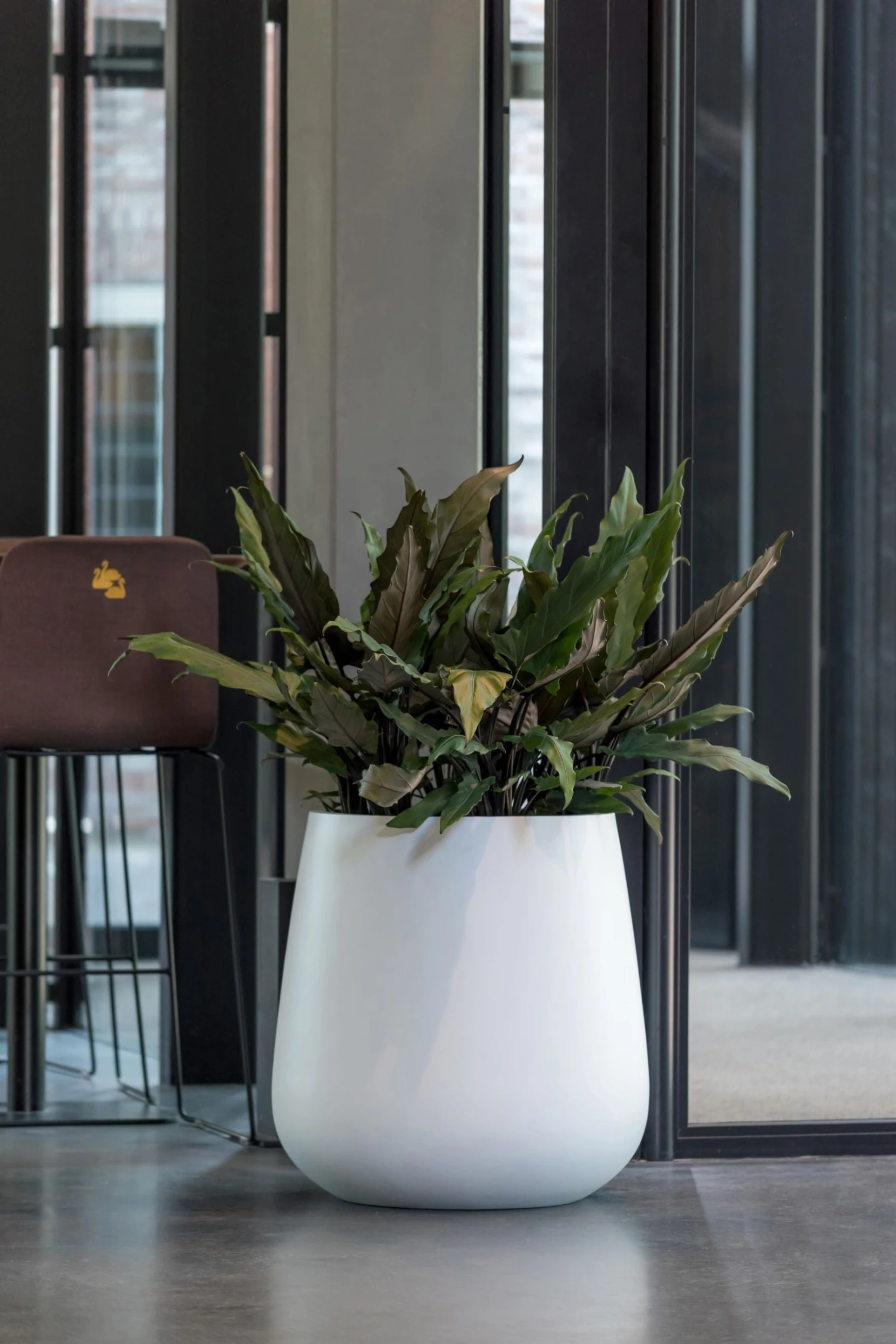 Pax Matt Weiß 3 Pax Matt Weiß