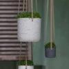 Hanging Charlie Grau 2 Hanging Charlie Grau -Pflanzen Blumentopf Geschäft pottery pots hanging rough charlieP