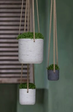 Hanging Charlie Grau