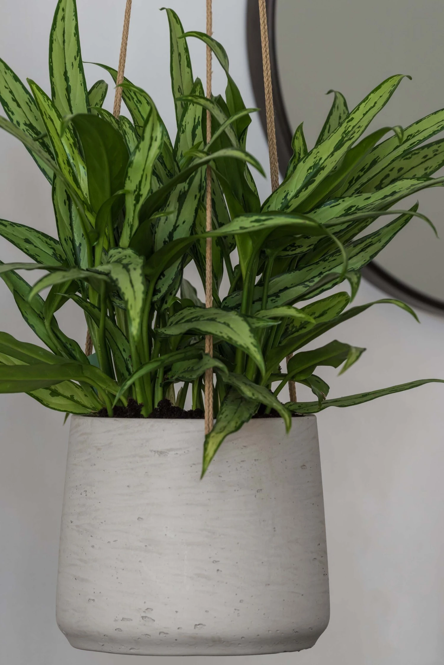 Hanging Patt Grau 4 Hanging Patt Grau – Bild 2