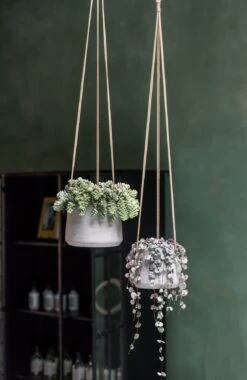 Hanging Patt Grau 12 Hanging Patt Grau -Pflanzen Blumentopf Geschäft pottery pots hanging rough patt 2 kopie