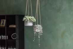 Hanging Patt Set Grau 7 Hanging Patt Set Grau -Pflanzen Blumentopf Geschäft pottery pots hanging rough patt quer min