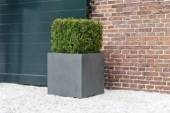 Block Fiberstone Grau 8 Block Fiberstone Grau -Pflanzen Blumentopf Geschäft pottery pots natural block 2 1 mmin