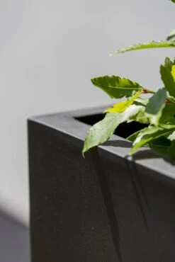 Bouvy Fiberstone Schwarz 13 Bouvy Fiberstone Schwarz -Pflanzen Blumentopf Geschäft pottery pots natural bouvy 16