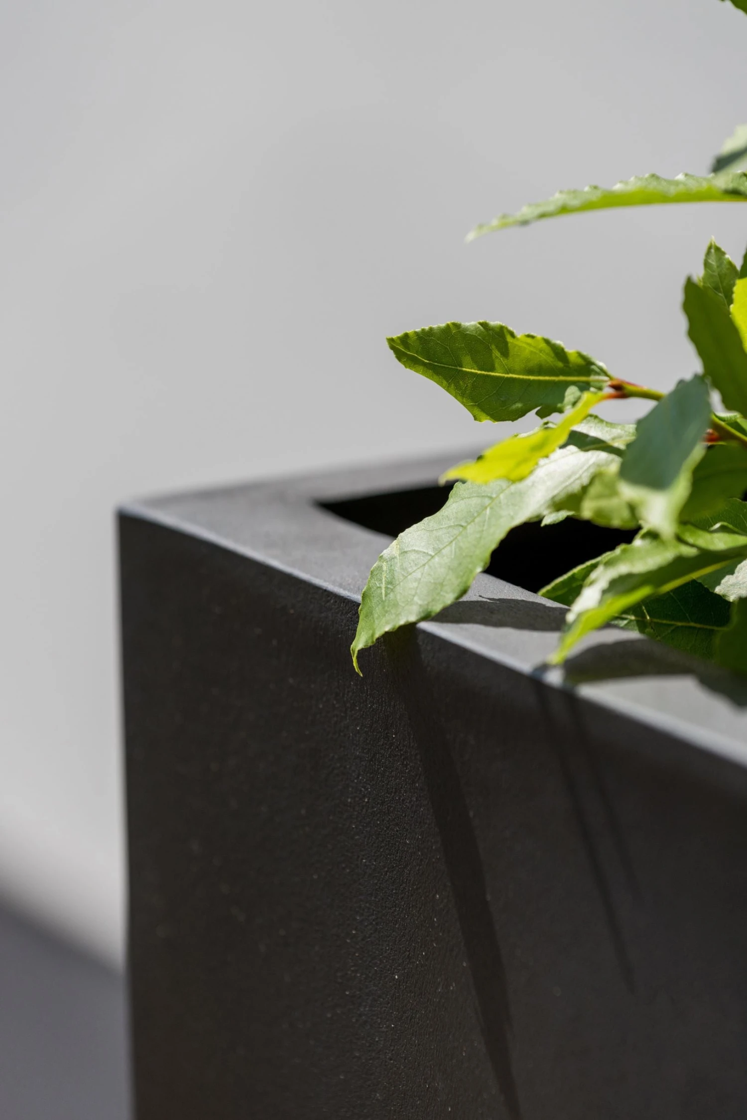 Bouvy Fiberstone Schwarz 6 Bouvy Fiberstone Schwarz – Bild 4