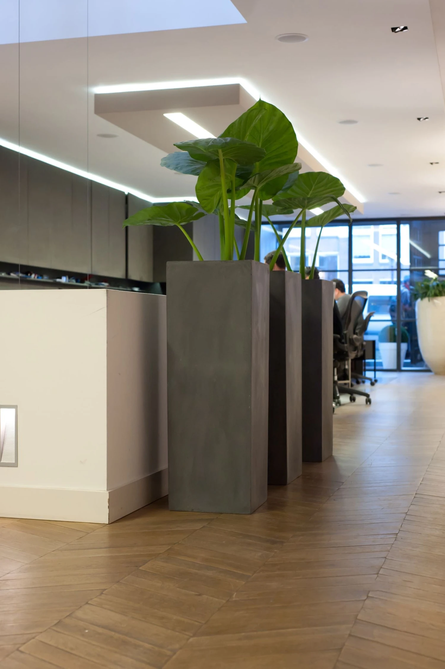 Bouvy Fiberstone Grau 4 Bouvy Fiberstone Grau – Bild 2