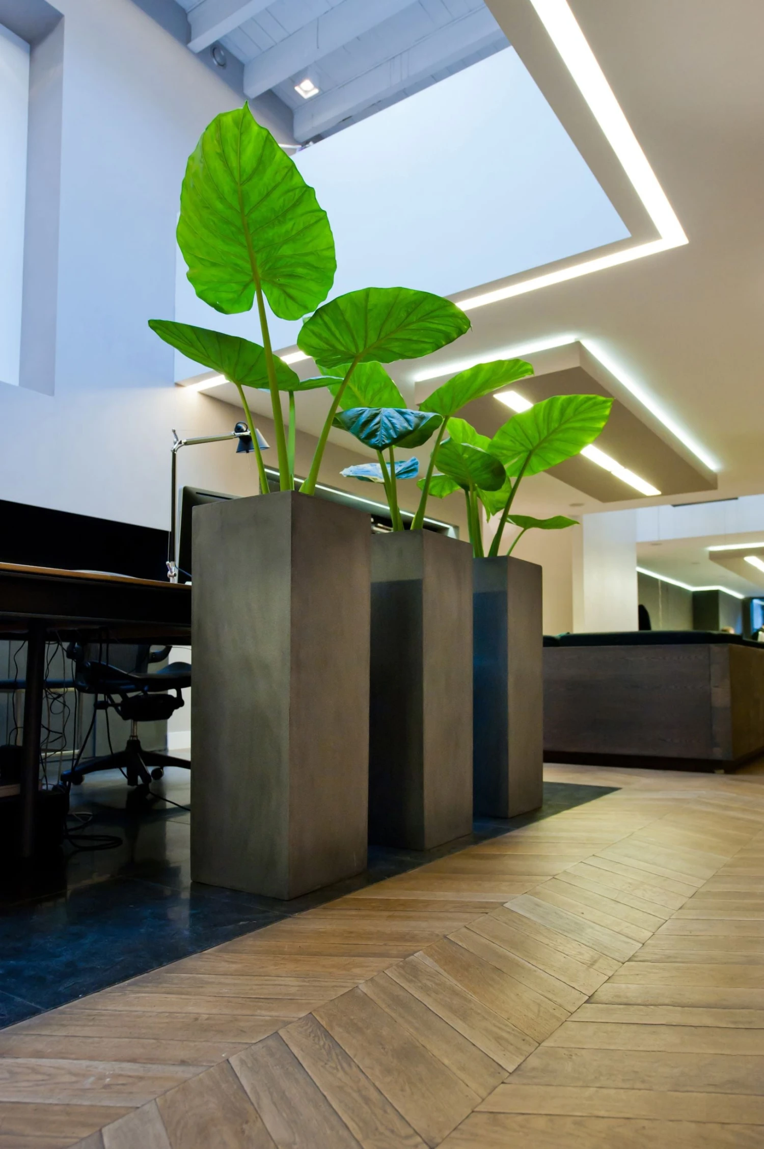 Bouvy Fiberstone Grau 3 Bouvy Fiberstone Grau