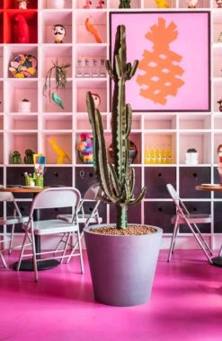 Bucket Fiberstone Grau