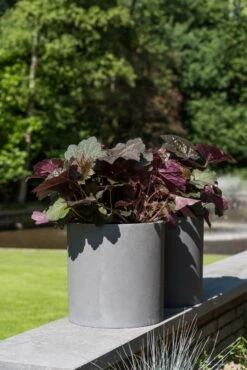 Max Fiberstone Grau -Pflanzen Blumentopf Geschäft pottery pots natural max 12 1