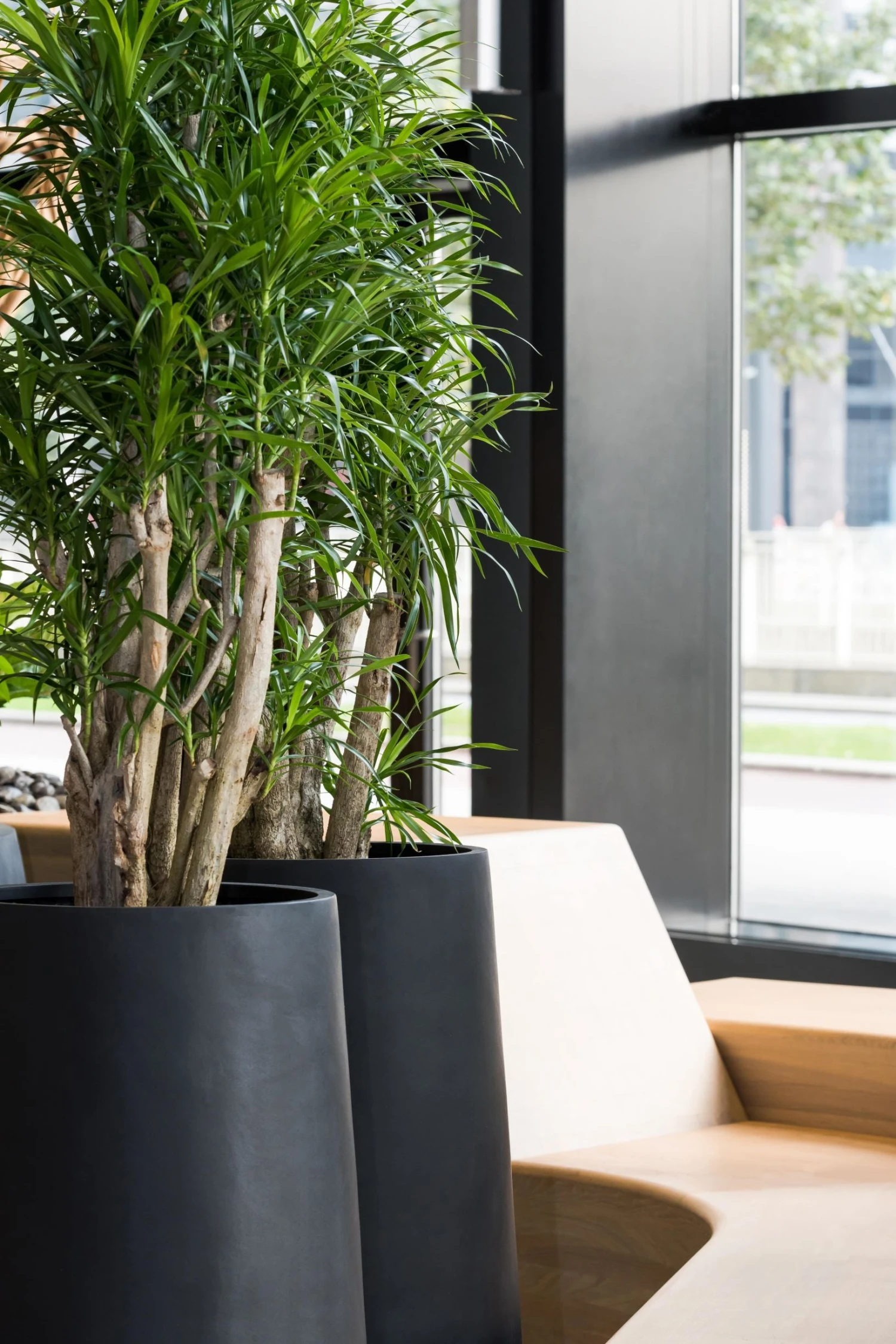 Nax Fiberstone Schwarz 6 Nax Fiberstone Schwarz – Bild 4