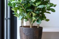 Bernd Oyster Imperial Braun 13 Bernd Oyster Imperial Braun -Pflanzen Blumentopf Geschäft pottery pots oyster ben 5