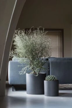 Max Volcano Anthrazit