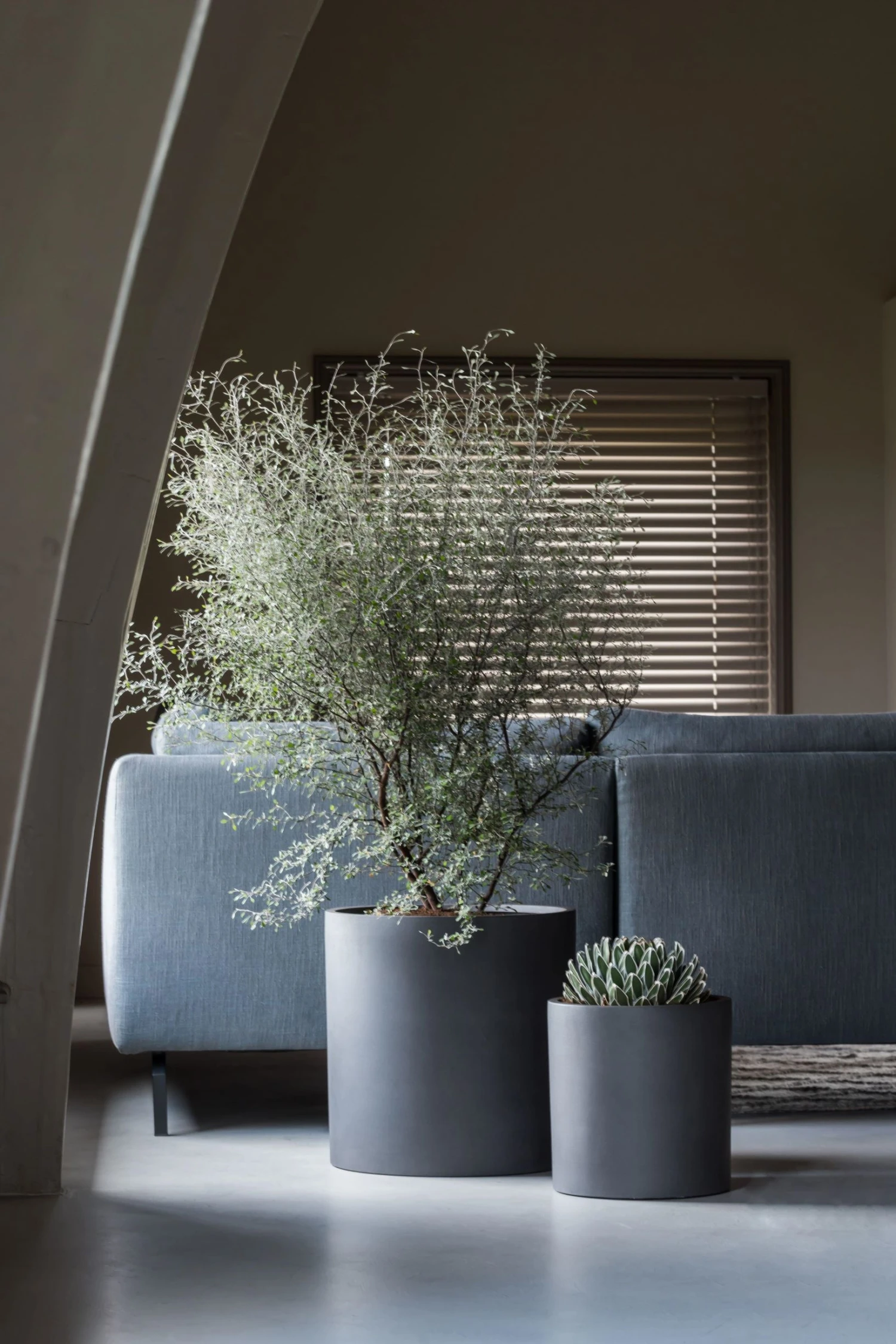 Max Volcano Anthrazit 3 Max Volcano Anthrazit