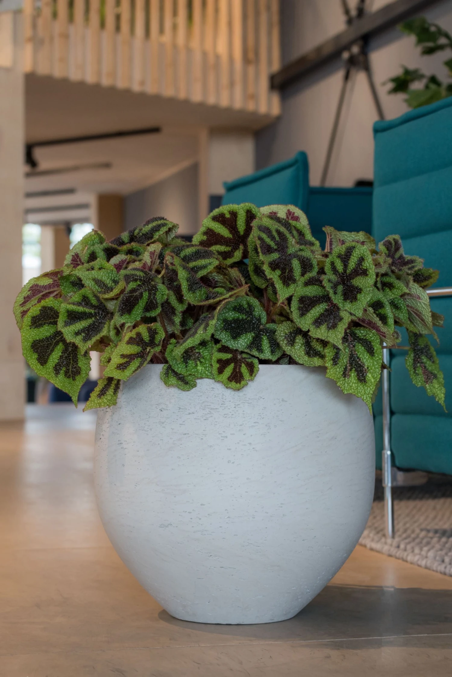 Orb Grey Washed 3 Orb Grey Washed