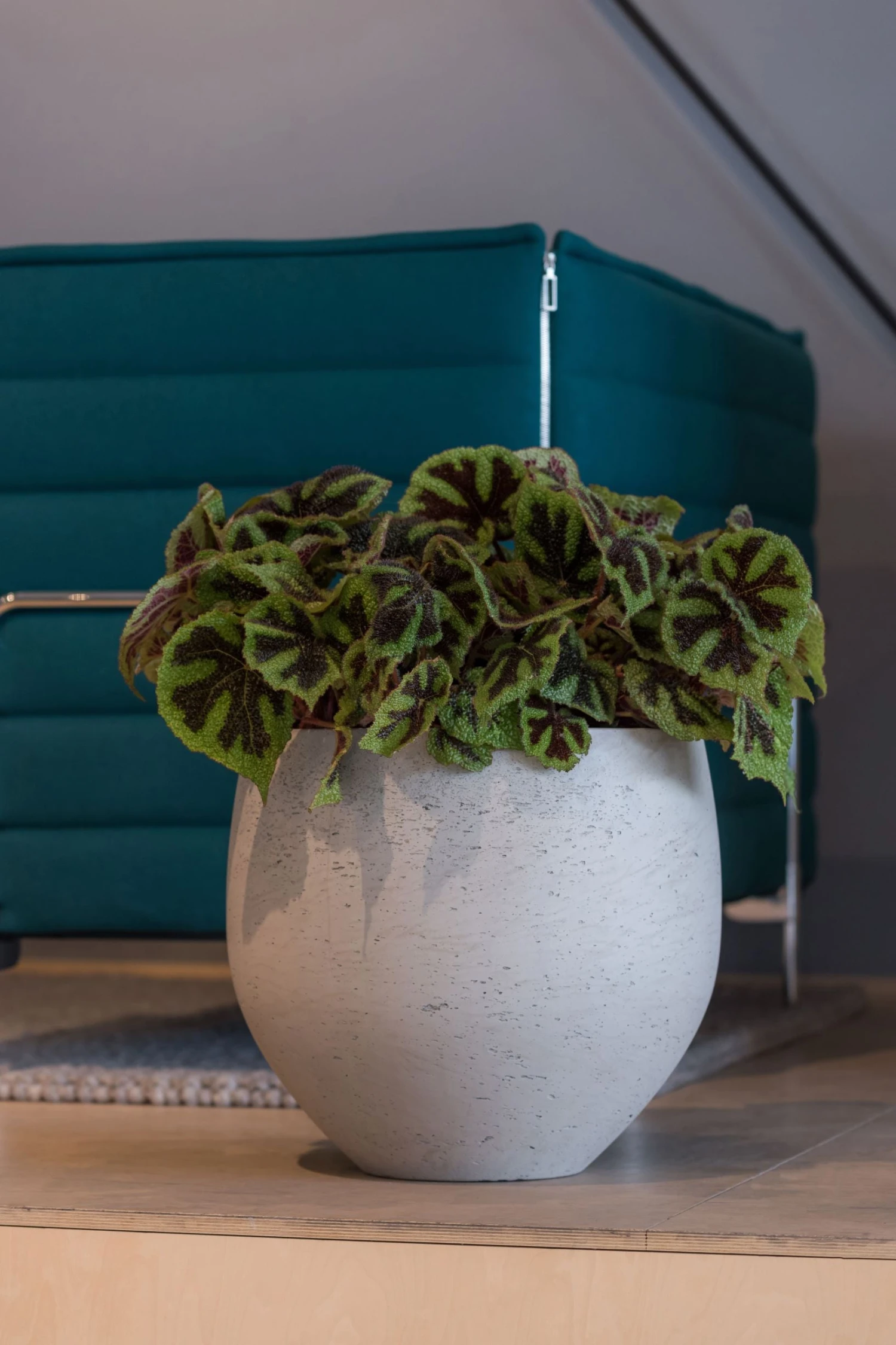 Orb Grey Washed 4 Orb Grey Washed – Bild 2