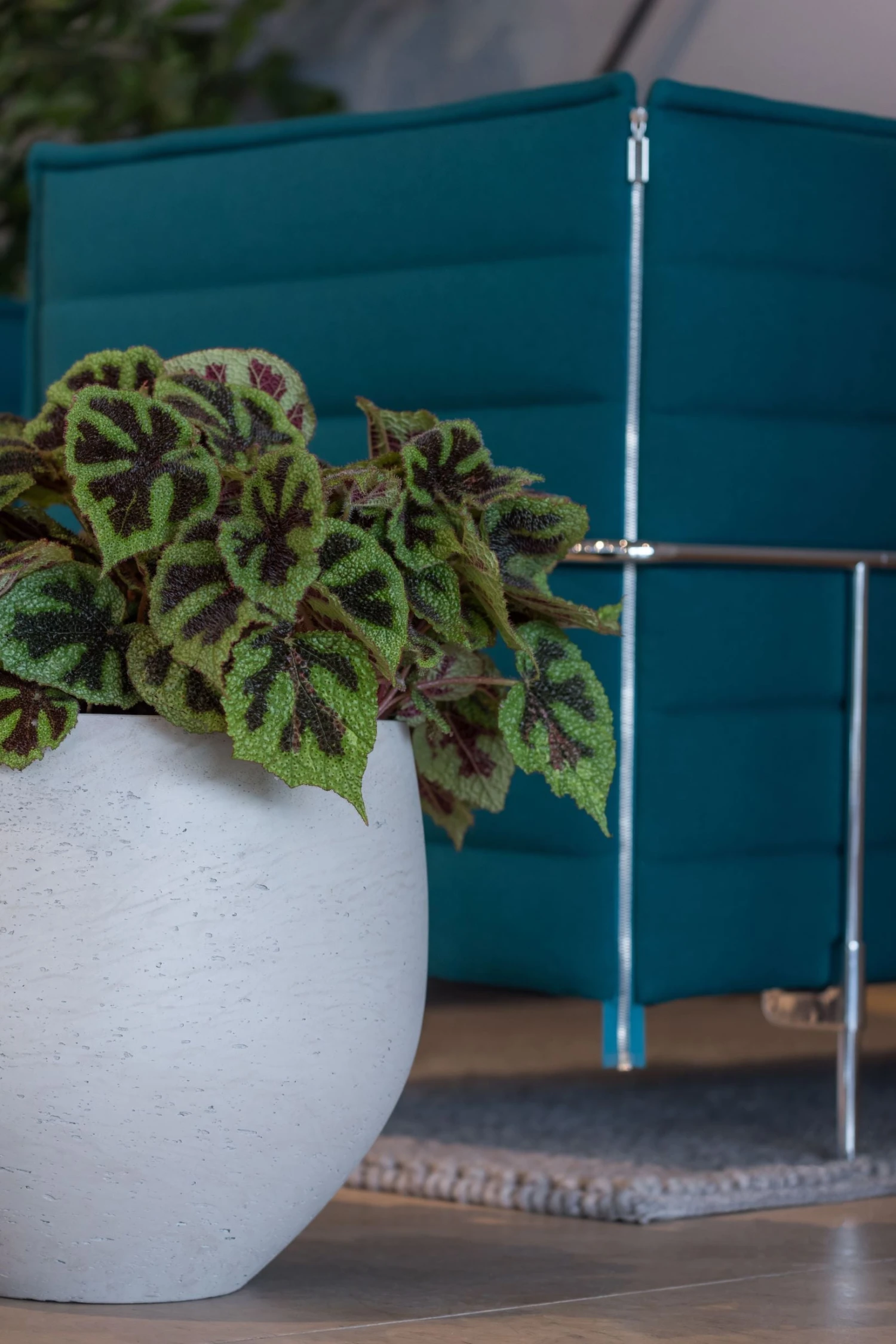 Orb Grey Washed 5 Orb Grey Washed – Bild 3