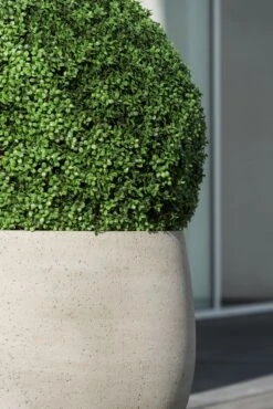 Buchsbaum Künstlich -Pflanzen Blumentopf Geschäft pottery pots urban jumbo orb 7