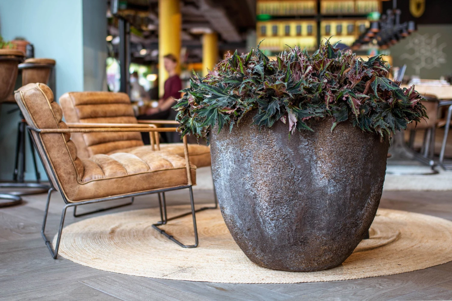 Jesslyn Oyster Imperial Braun 4 Jesslyn Oyster Imperial Braun – Bild 2