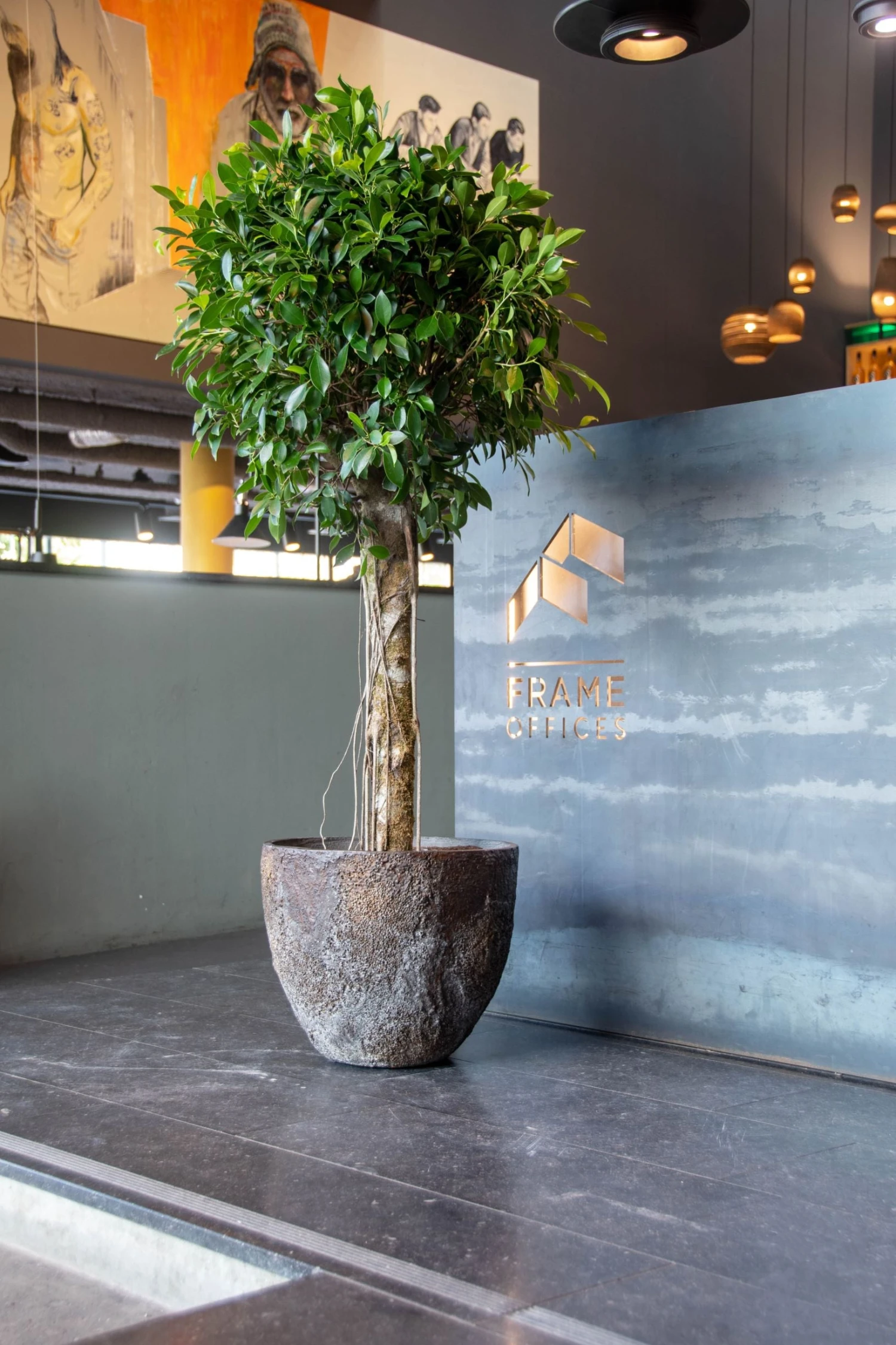 Jesslyn Oyster Imperial Braun 3 Jesslyn Oyster Imperial Braun