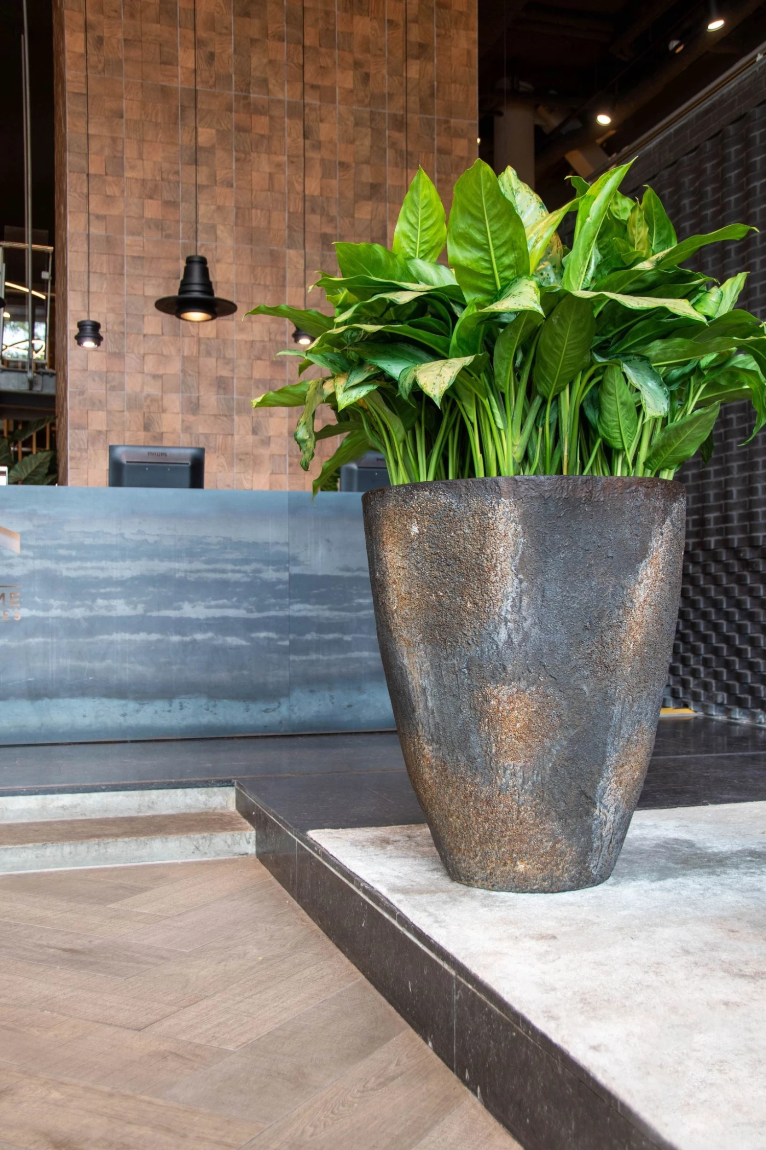 Hugo Oyster Imperial Braun 3 Hugo Oyster Imperial Braun