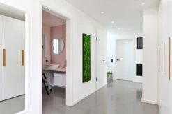 Moosbild Verlauf Wald- Und Ballenmoos 140x40 Cm 10 Moosbild Verlauf Wald- Und Ballenmoos 140x40 Cm -Pflanzen Blumentopf Geschäft styleGREEN Kugelmoosbild 140x40 schwarzerRahmen sG Mb WKm VL 140x40 HoSw