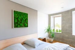 Moosbild Verlauf Wald- Und Ballenmoos 80x80 Cm 10 Moosbild Verlauf Wald- Und Ballenmoos 80x80 Cm -Pflanzen Blumentopf Geschäft styleGREEN Moosbild Wald und Kuglemoos Verlauf 80x80 Ambiente DSC0301