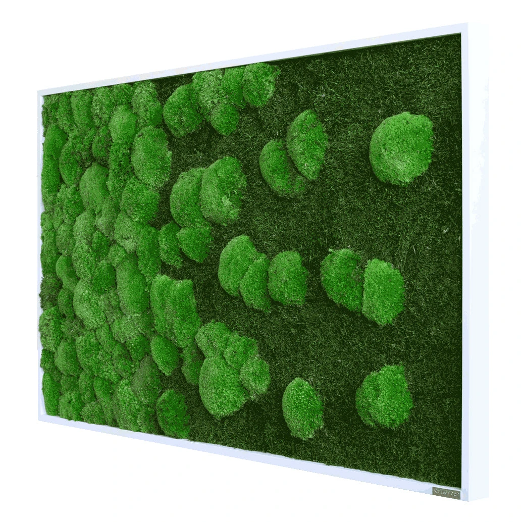 Moosbild Verlauf Wald- Und Ballenmoos 100x60 Cm 4 Moosbild Verlauf Wald- Und Ballenmoos 100x60 Cm – Bild 2