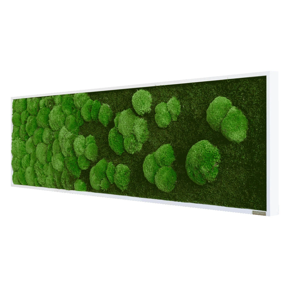 Moosbild Verlauf Wald- Und Ballenmoos 140x40 Cm 4 Moosbild Verlauf Wald- Und Ballenmoos 140x40 Cm – Bild 2