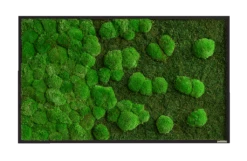 Moosbild Verlauf Wald- Und Ballenmoos 100x60 Cm 14 Moosbild Verlauf Wald- Und Ballenmoos 100x60 Cm -Pflanzen Blumentopf Geschäft styleGREEN Verlauf neu 100x60 Frontal sG Mb WKm VL 100x60 HoSw