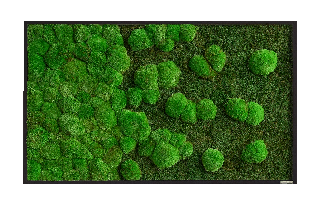 Moosbild Verlauf Wald- Und Ballenmoos 100x60 Cm 8 Moosbild Verlauf Wald- Und Ballenmoos 100x60 Cm – Bild 6