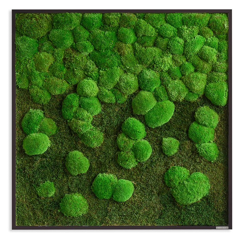 Moosbild Verlauf Wald- Und Ballenmoos 80x80 Cm 8 Moosbild Verlauf Wald- Und Ballenmoos 80x80 Cm – Bild 6