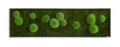 Moosbild Wald- Und Ballenmoos 140x40 Cm 12 Moosbild Wald- Und Ballenmoos 140x40 Cm -Pflanzen Blumentopf Geschäft styleGREEN Wald und Kugelmoos Moosbild 140x40 Frontal mitSchatten sG Mb WKm 140x40 HoSw