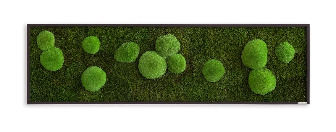 Moosbild Wald- Und Ballenmoos 140x40 Cm 7 Moosbild Wald- Und Ballenmoos 140x40 Cm – Bild 5