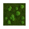 Moosbild Wald- Und Ballenmoos 80x80 Cm