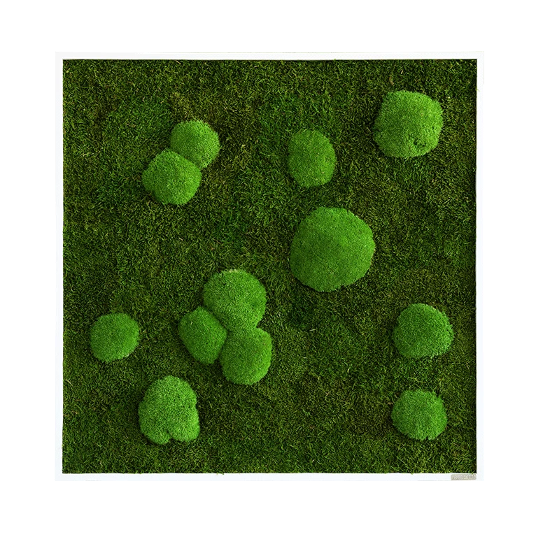 Moosbild Wald- Und Ballenmoos 80x80 Cm 3 Moosbild Wald- Und Ballenmoos 80x80 Cm