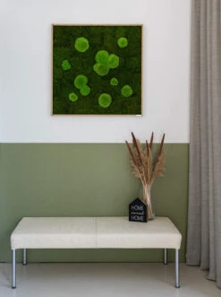 Moosbild Wald- Und Ballenmoos 80x80 Cm 11 Moosbild Wald- Und Ballenmoos 80x80 Cm -Pflanzen Blumentopf Geschäft styleGREEN Wald und Kugelmoosbild Eichenfurnier B2C Flur 80x80 sG Mb WKm 80x80 HoEi Final