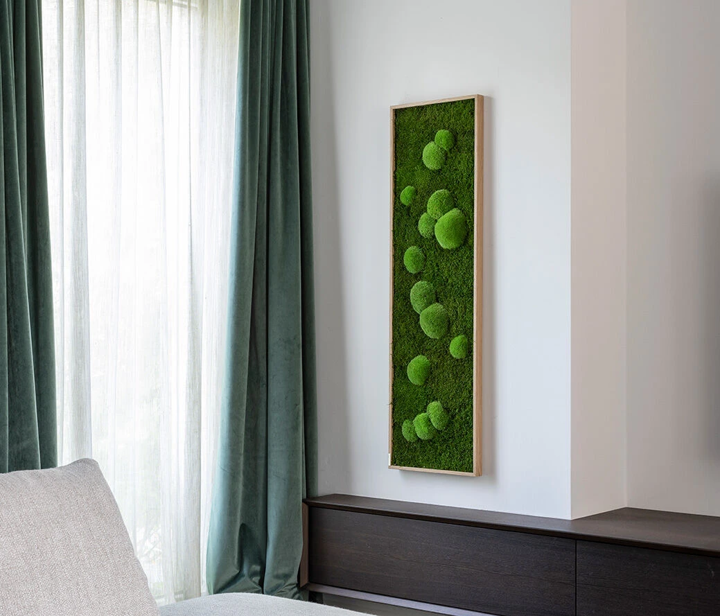 Moosbild Wald- Und Ballenmoos 140x40 Cm 6 Moosbild Wald- Und Ballenmoos 140x40 Cm – Bild 4