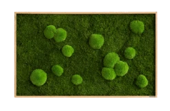 Moosbild Wald- Und Ballenmoos 100x60 Cm -Pflanzen Blumentopf Geschäft styleGREEN Wald und Kugelmoosbild Eichenfurnier Holzrahmen 100x60 sG Mb WKm 100x60 HoEi Final