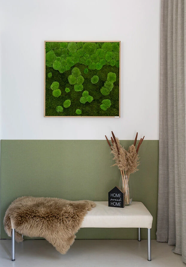 Moosbild Verlauf Wald- Und Ballenmoos 80x80 Cm 6 Moosbild Verlauf Wald- Und Ballenmoos 80x80 Cm – Bild 4