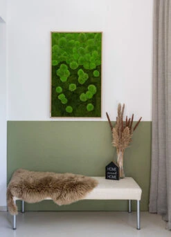 Moosbild Verlauf Wald- Und Ballenmoos 100x60 Cm 12 Moosbild Verlauf Wald- Und Ballenmoos 100x60 Cm -Pflanzen Blumentopf Geschäft styleGREEN Wald und Kugelmoosbild Verlauf B2C Aufzug sG Mb WKm VL 100x60 HoEi Final
