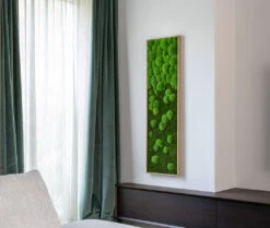 Moosbild Verlauf Wald- Und Ballenmoos 140x40 Cm 11 Moosbild Verlauf Wald- Und Ballenmoos 140x40 Cm -Pflanzen Blumentopf Geschäft styleGREEN Wald und Kugelmoosbild Verlauf B2C Wohnzimmer sG Mb WKm VL 140x40 HoEi