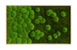 Moosbild Verlauf Wald- Und Ballenmoos 100x60 Cm 15 Moosbild Verlauf Wald- Und Ballenmoos 100x60 Cm -Pflanzen Blumentopf Geschäft styleGREEN Wald und Kugelmoosbild Verlauf Eichenfurnier Holzrahmen 100x60 sG Mb WKm VL 100x60 HoEi Final