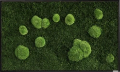 Moosbild Wald- Und Ballenmoos 100x60 Cm -Pflanzen Blumentopf Geschäft styleGREEN Westwing WaldundKugelmoosbild 100x60 Frontal sG Mb WKm 100x60 HoSw